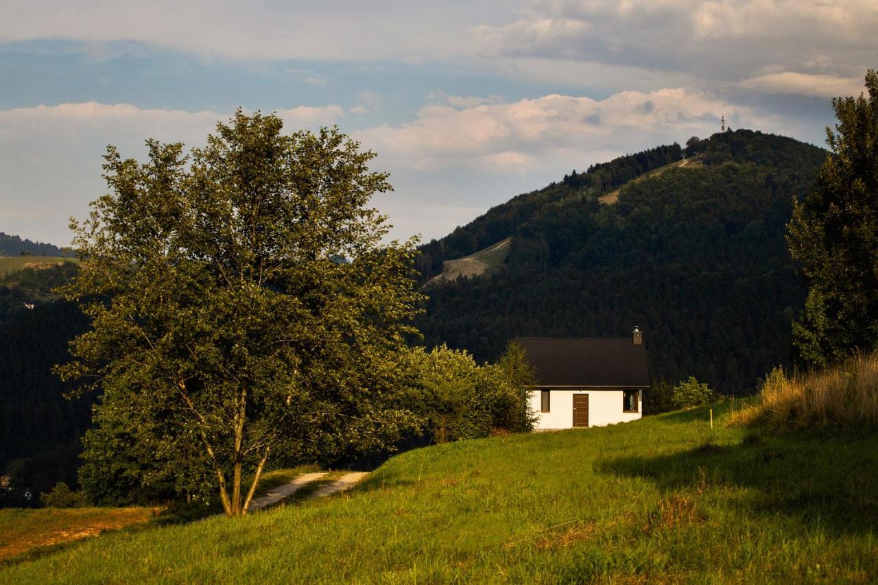 Domek Na Wierchach Piwniczna-Zdroj Экстерьер фото